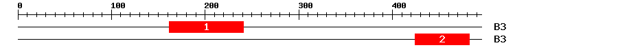 Signature Domain