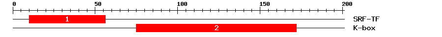 Signature Domain