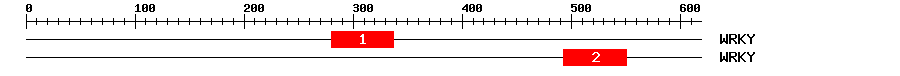 Signature Domain