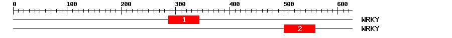 Signature Domain