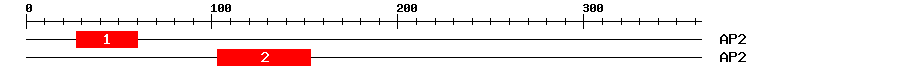 Signature Domain