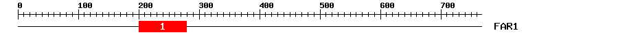 Signature Domain