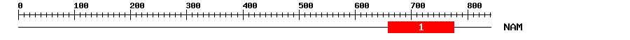 Signature Domain