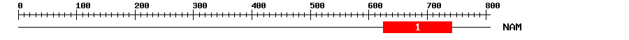 Signature Domain