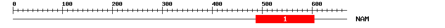 Signature Domain