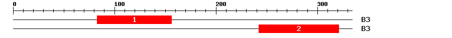 Signature Domain