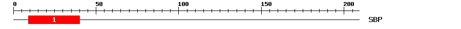 Signature Domain