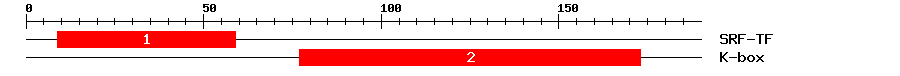 Signature Domain