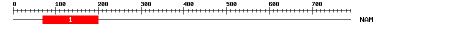 Signature Domain