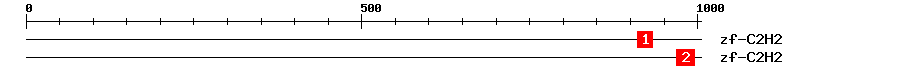 Signature Domain
