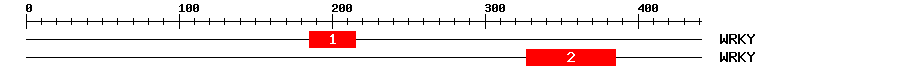 Signature Domain