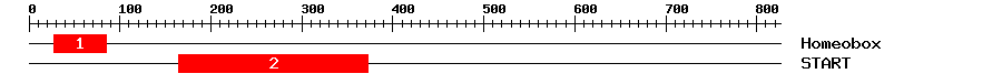 Signature Domain