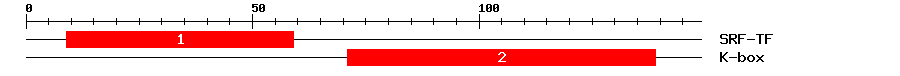Signature Domain