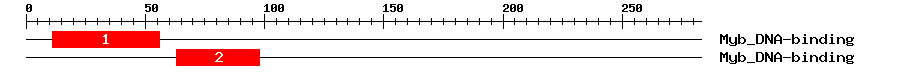 Signature Domain