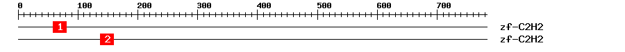 Signature Domain