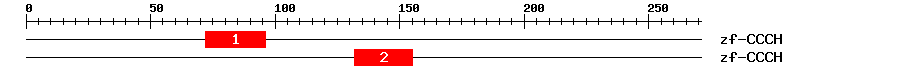 Signature Domain