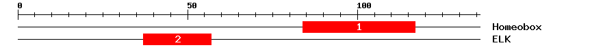 Signature Domain