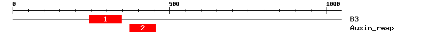 Signature Domain