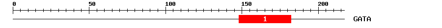 Signature Domain