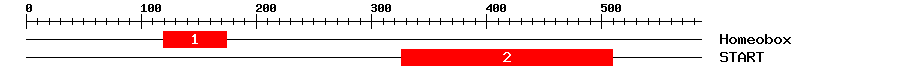 Signature Domain
