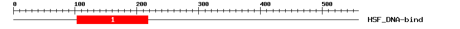 Signature Domain