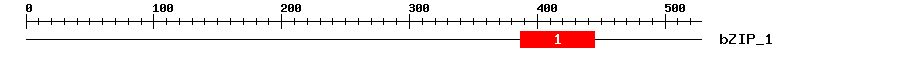 Signature Domain