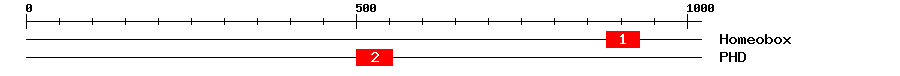Signature Domain