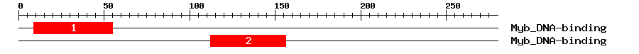 Signature Domain
