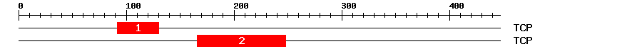 Signature Domain