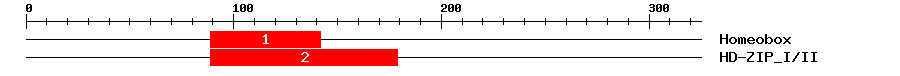 Signature Domain