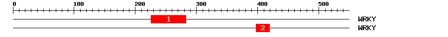 Signature Domain