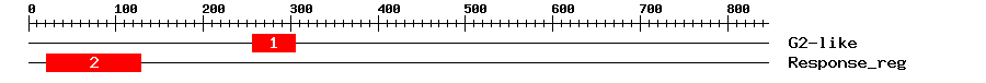Signature Domain