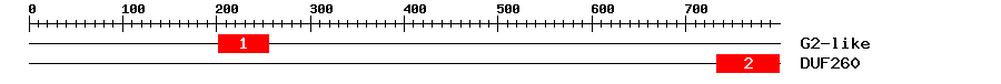 Signature Domain