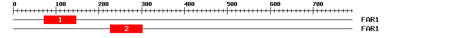 Signature Domain