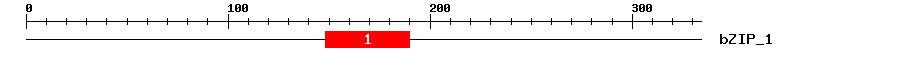Signature Domain