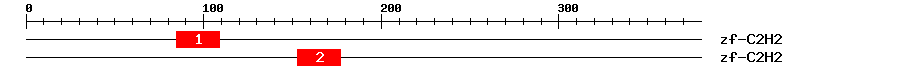 Signature Domain