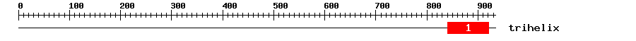 Signature Domain
