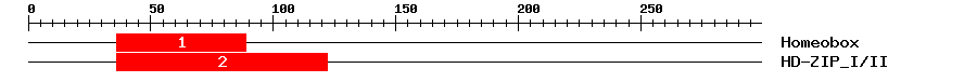 Signature Domain
