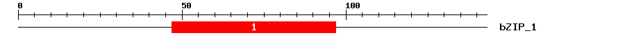 Signature Domain
