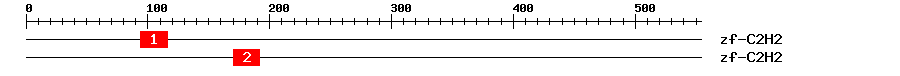 Signature Domain