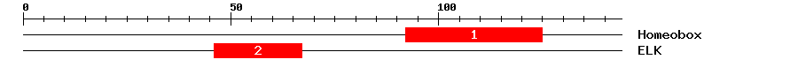 Signature Domain