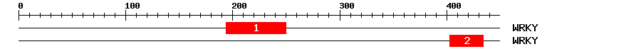 Signature Domain