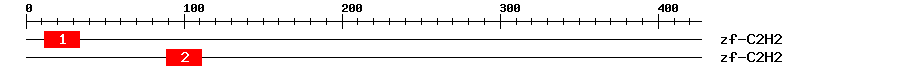 Signature Domain