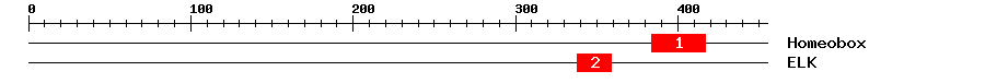 Signature Domain