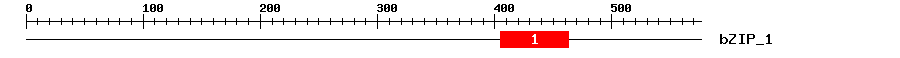Signature Domain