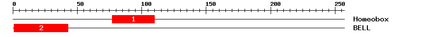 Signature Domain