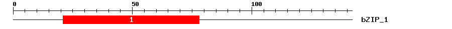 Signature Domain