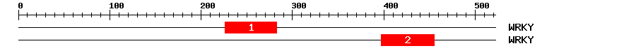 Signature Domain