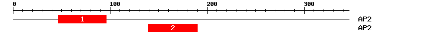 Signature Domain