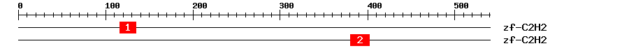 Signature Domain